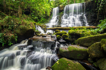 beautiful waterfall in green forest in jungle - 99200730