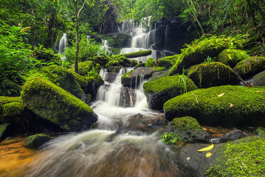 Fototapeta piękny wodospad w zielonym lesie w dżungli w phu tub berk mo