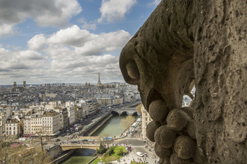 Notre Dame de Paris - Gargouille