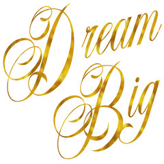Dream Big Gold Faux Foil Metallic Glitter Quote Isolated on Whit