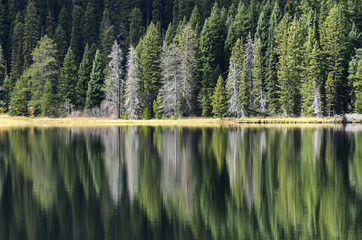 Taggert lake reflection - Grand Teton NP - Wyoming - USA
