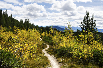 Taggert lake trail - Grand Teton NP - Wyoming - USA