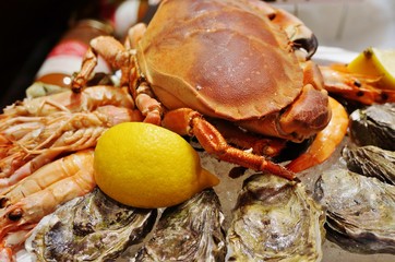 Plateau de fruits de mer (seafood platter) in a market in Brittany