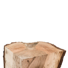 top of stump log