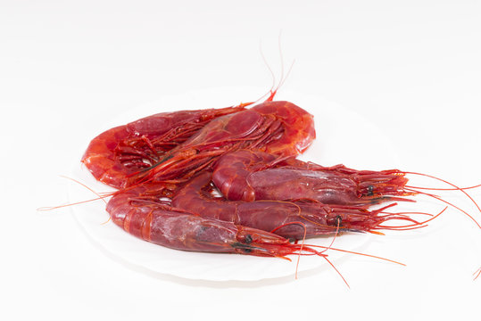 Carabineros.