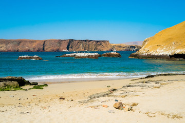 Obraz premium Paracas