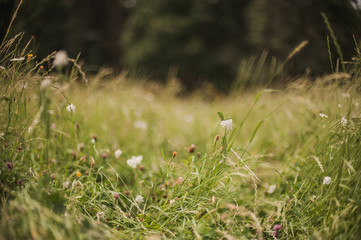 Spring 