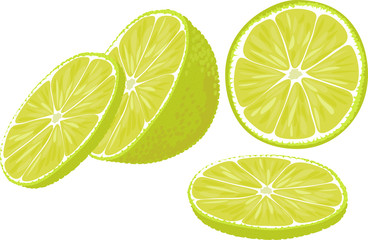 Vector illustration of slices of lime in different angles.