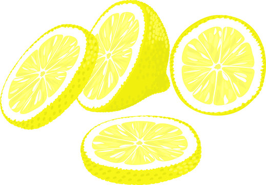 Vector illustration of lemon slices in different angles.