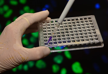 In the biomedical laboratory.