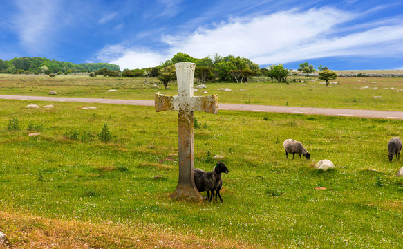 Naturlandschaft auf &Ouml;land, Schweden