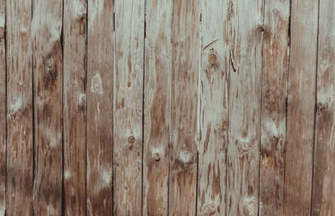 Fototapeta premium Деревянная текстура из дубовых досок