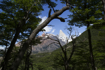 Fototapeta na wymiar Peak of Mt Fitzroy, Patagonia
