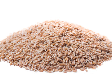 A bunch of spelt on a white background