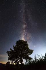 The Milky Way above the shadow of a tree,Long exposure photograp