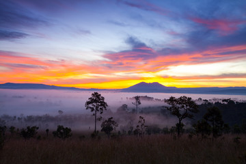 Misty morning sunrise at Thung Salang Luang National Park Phetch