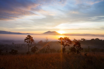 Misty morning sunrise at Thung Salang Luang National Park Phetch
