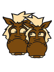 male faces few horses love mare stallion female woman wedding love junggesellenabschied pony horse