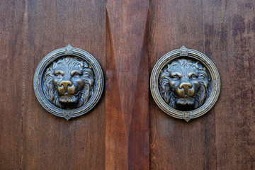 Antique door knocker shaped like a lion's head.