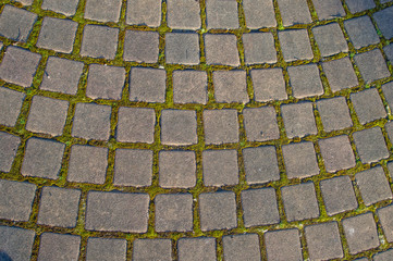 Brick paver stones on a pathway