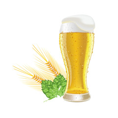 Glass fresh beer with cap of foam and water drop barley and hops