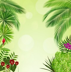Fototapeta na wymiar Tropical foliage. Floral design background