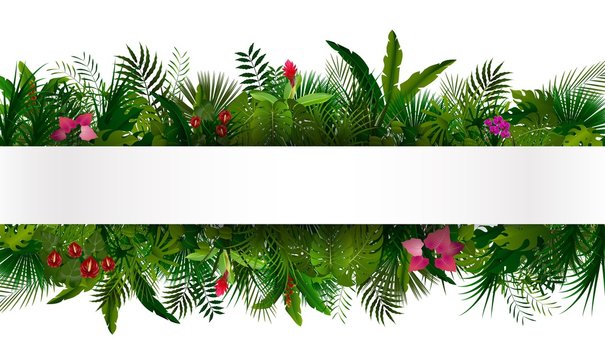 Tropical foliage. Floral design background
