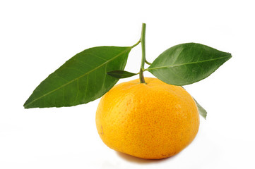 Ripe mandarin fruit isolated on white background