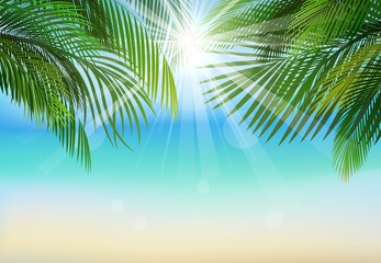 Fototapeta na wymiar Palm leaf background on blue sky and sunbeams.Summer holidays 