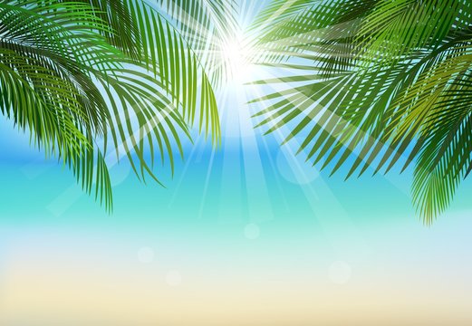 Palm leaf background on blue sky and sunbeams.Summer holidays 