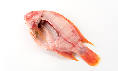 tilapia raw