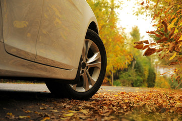 White car and autumn - Белая машина на осеннем фоне
