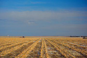 Fototapeta na wymiar Plowed Farm Corn Field in Winter