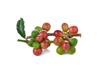 Red coffee beans , ripe  berries isolated on white background