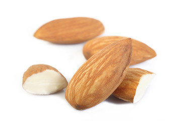 raw almond nut