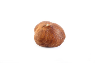 peeled hazelnut isolated on white