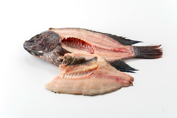 tilapia raw