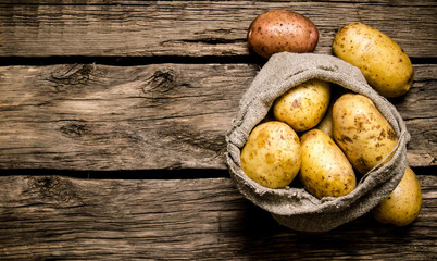 Fresh potatoes in an old sack on wooden background. Free place for text.
