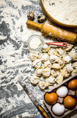 Obraz na płótnie Canvas fresh homemade ravioli stuffed with ingredients.