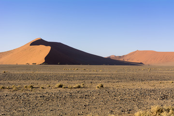 ナミブ砂漠のデューン45