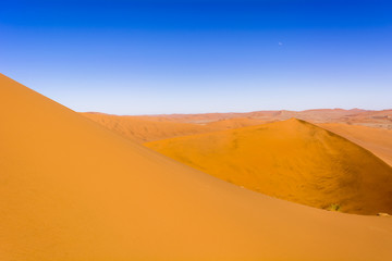 Obraz na płótnie Canvas ナミブ砂漠