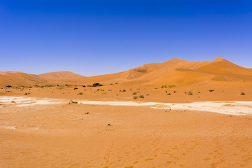Fototapeta premium ナミブ砂漠