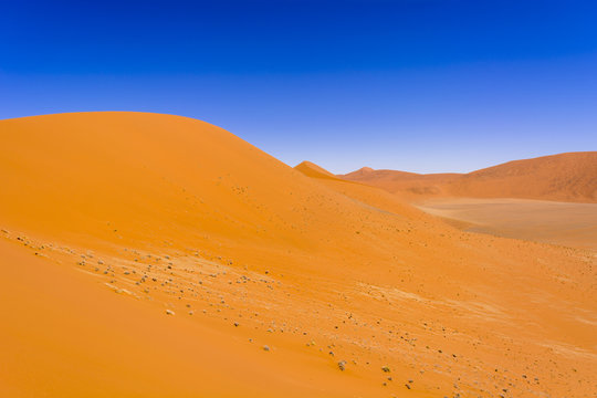 ナミブ砂漠 © san724