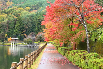田貫湖畔の紅葉