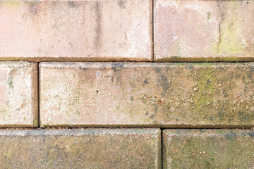 brick wall texture background