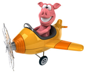 Fun pig