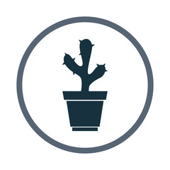 Cactus in pot icon