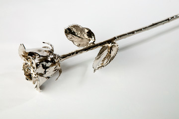 Silber Rose