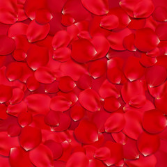 Background with beautiful red rose petals.