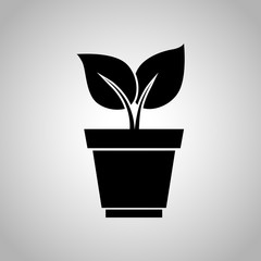 Plant in pot icon